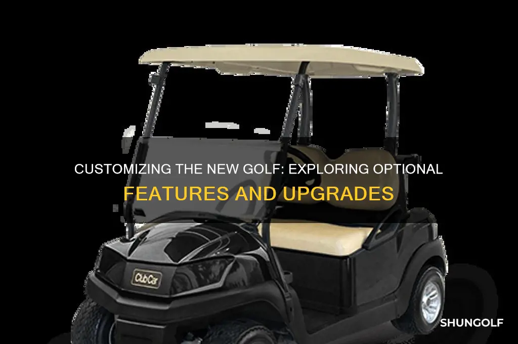 which of following are optional on the new golf