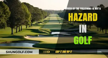 Golf Hazards Explained: One Surprising Element That’s Not a Threat
