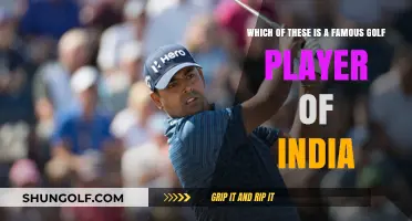 Exploring India's Golf Legends: A Look at the Country's Famous Players