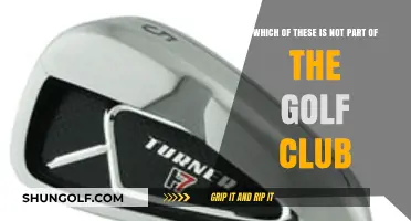 Unveiling the Odd One Out: What’s Not in Your Golf Club?