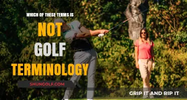 Unraveling the Mystery: Which Term Doesn't Belong in Golf Lingo?