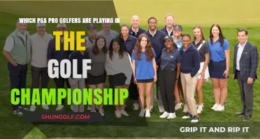 Teeing Off at the Championship: A Roundup of Participating PGA Pros