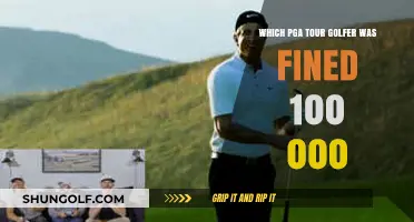 PGA Golfer Fined $100,000: The Shocking Story Behind the Penalty