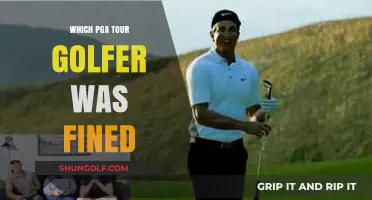 PGA Tour Golfer Fined: Unveiling the Controversy and Consequences