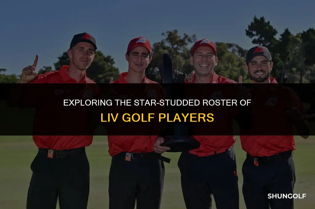which players play for liv golf