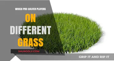 Mastering Greens: Pro Golfers Adapting to Different Grass Types