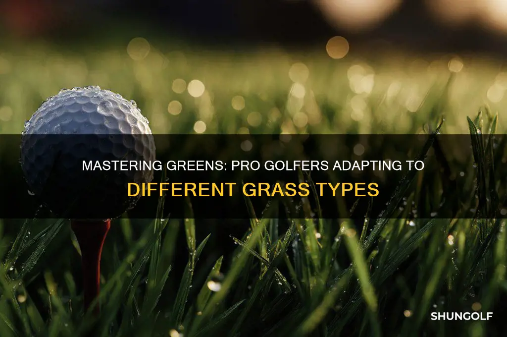 which pro golfer players on different grass
