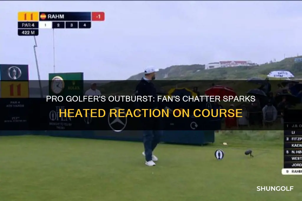 which pro golfer yelled at a fan for talking