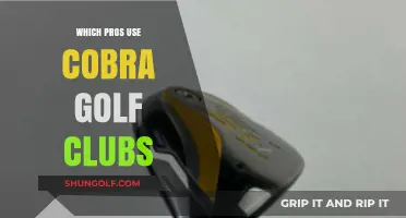 Top Golf Pros Swinging Cobra Clubs: Who's in the Bag?