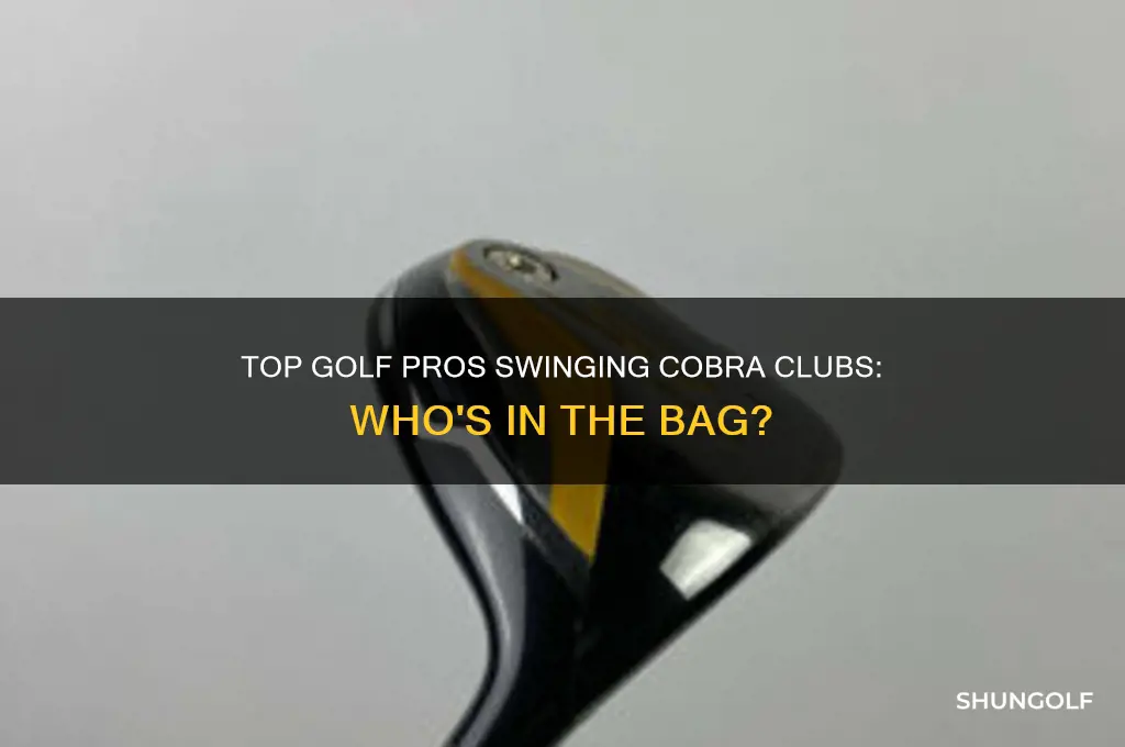 which pros use cobra golf clubs