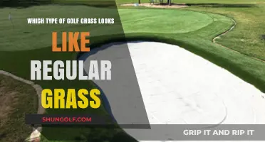 Golf Greens That Blend In: Which Turf Looks Like Regular Grass?