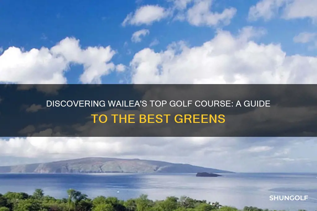 which wailea golf course is best