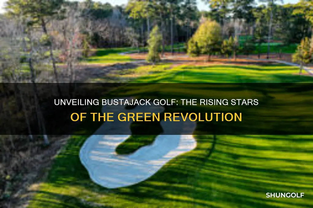 who are bustajack golf