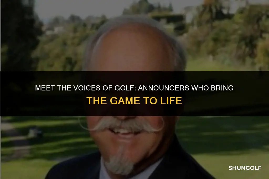 who are the announcers for the golf channel
