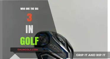 Golf's Elite Trio: Unveiling the Dominant Big 3 Legends