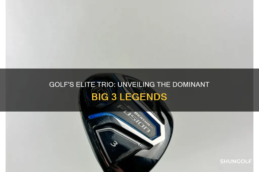 who are the big 3 in golf