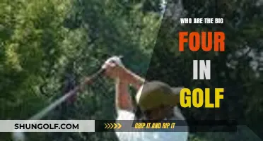 The Big Four in Golf: Legends Dominating the Greens