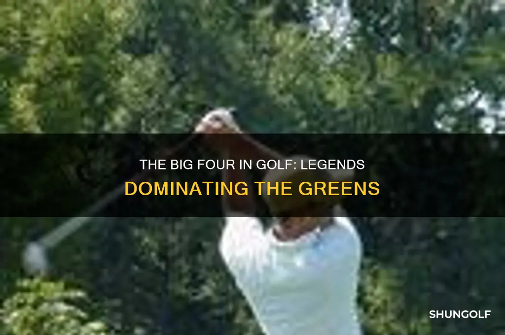 who are the big four in golf