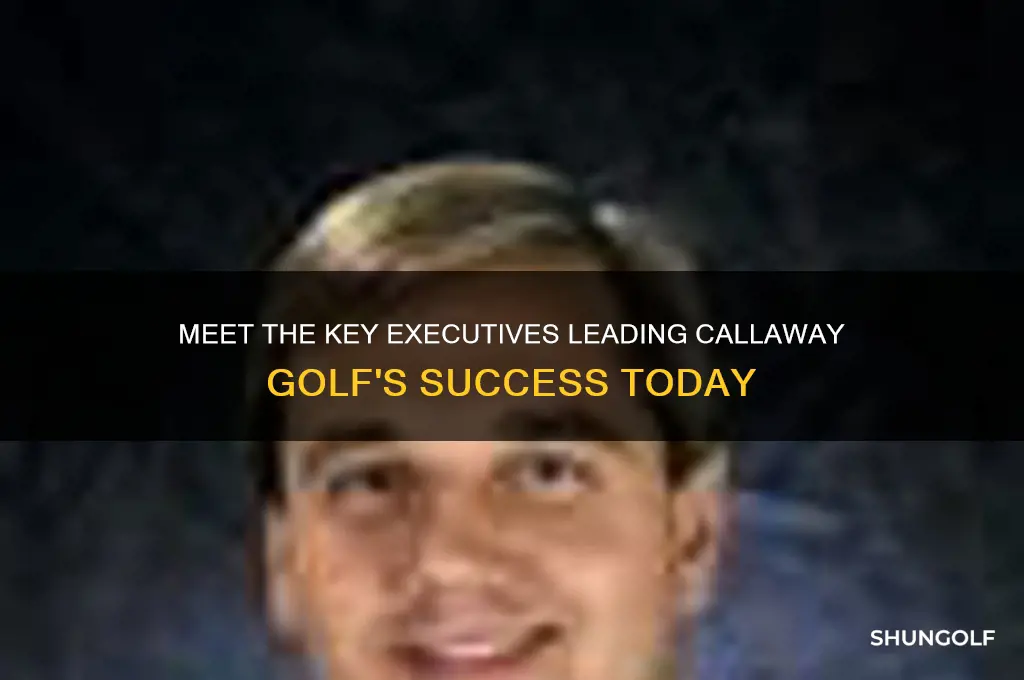 who are the executives of callway golf