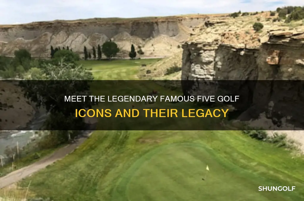 who are the famous five golf