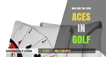 Meet Golf's Elite Quartet: The Four Aces Dominating the Greens