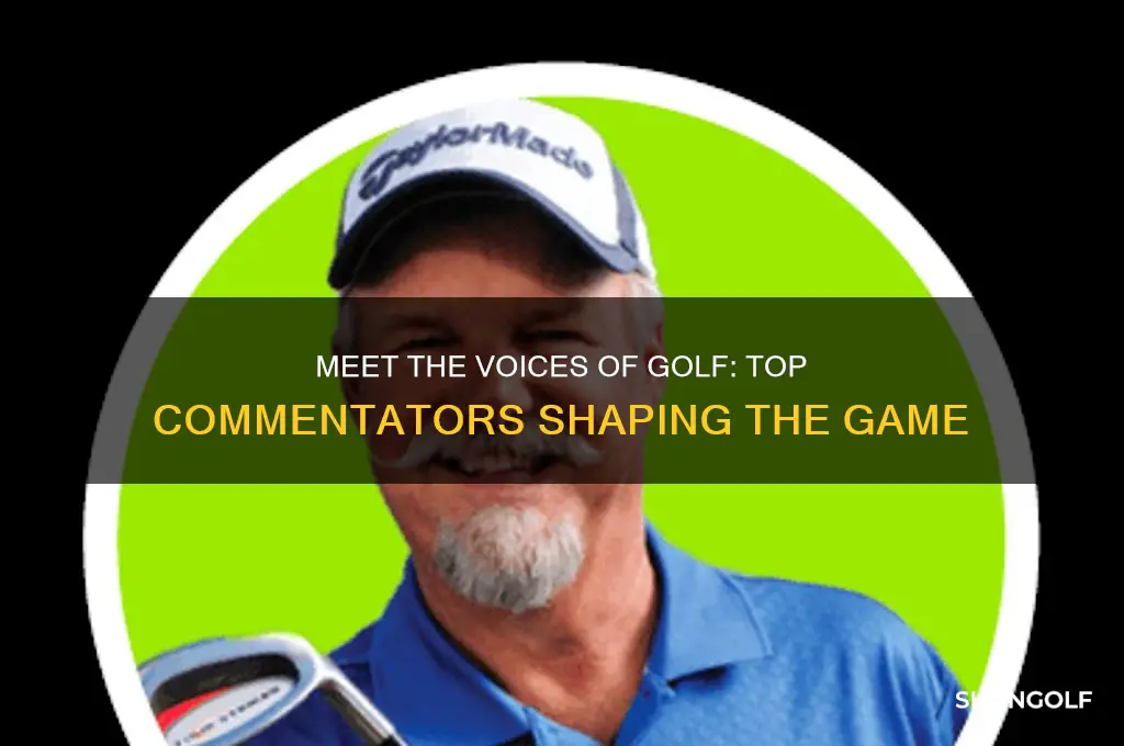 who are the golf commentators