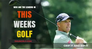 Top Golf Leaders Dominating the Fairways This Week