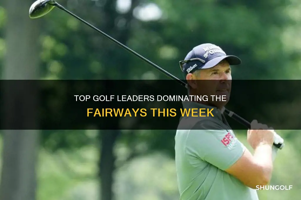 who are the leaders in this weeks golf