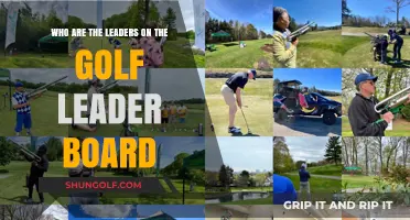 Meet the Top Golf Leaders Dominating the Current Leaderboard