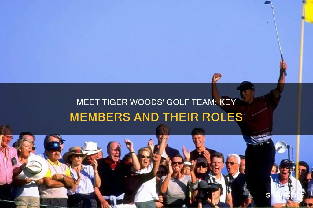 who are the members of tiger woods golf team