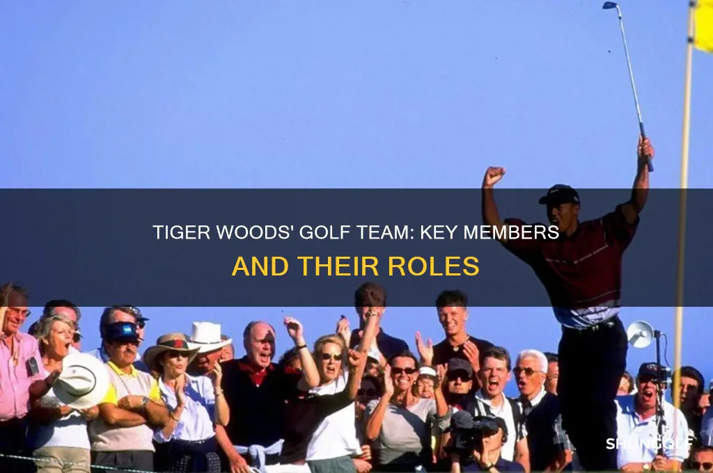 who are the peoplemconsidered members of tiger woods golf team