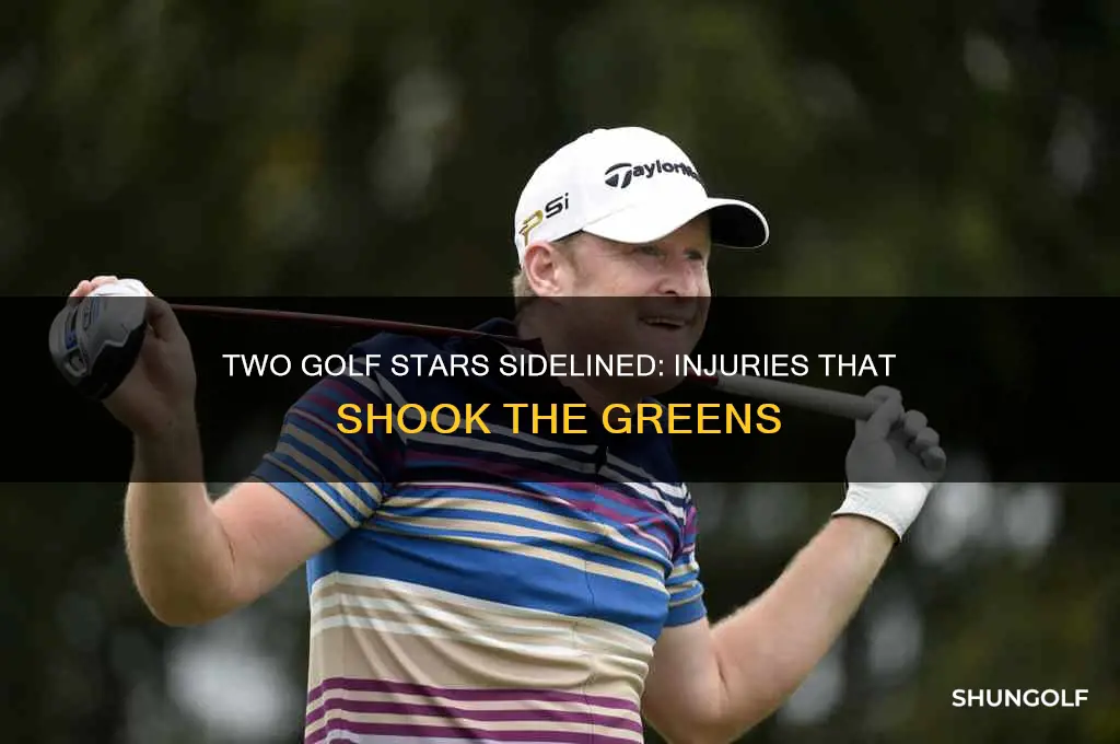 who are the two players in golf that got injured