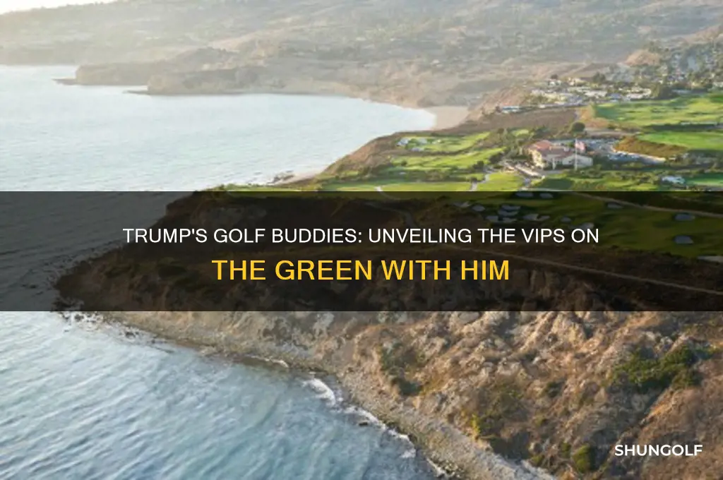 who are trumps golf buddies