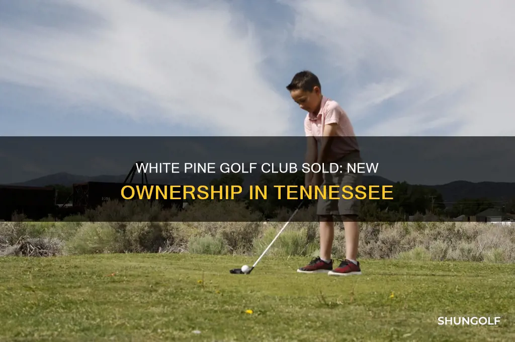 who bought white pine golf club white pine tennessee