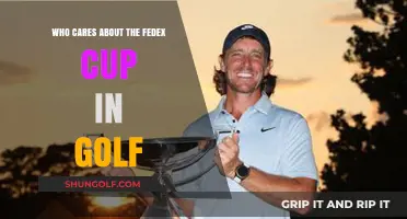 Who Cares About the FedEx Cup? Golf Fans Speak Out