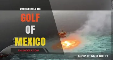 Who Controls the Gulf of Mexico? Power Dynamics Explained