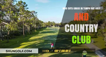 Tampa Bay Golf & Country Club: Who Maintains Its Pristine Greens?