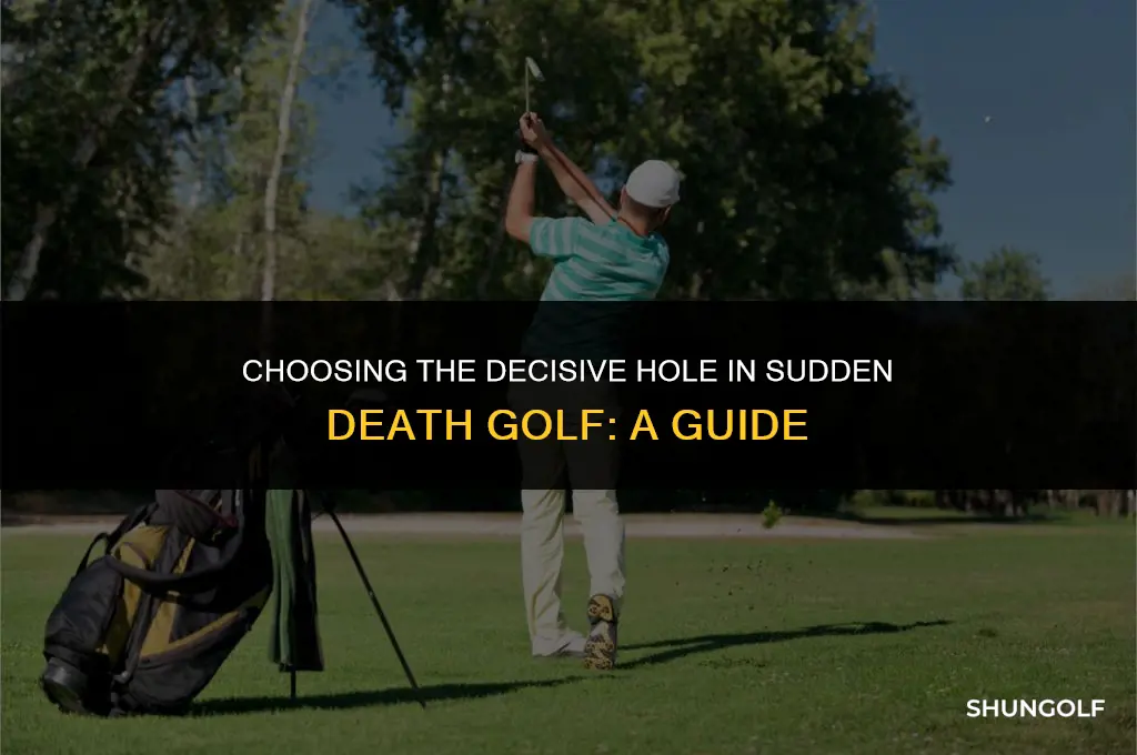 who decides what hole to play in sudden death golf