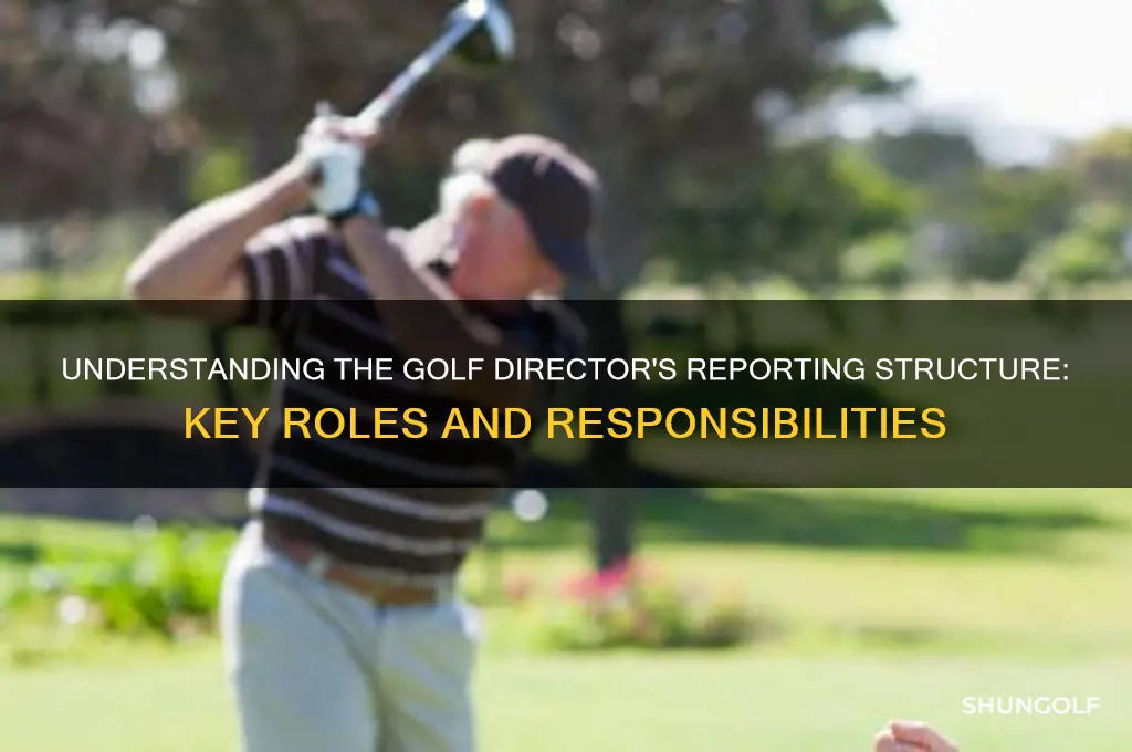 who does golf director report to