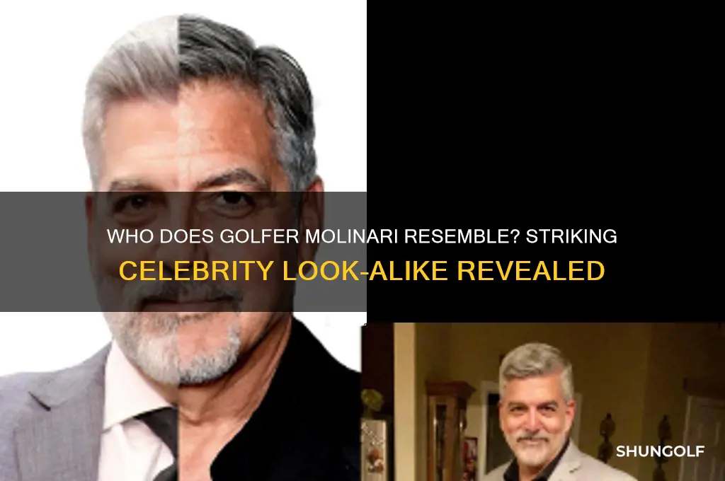 who does golfer molinari look like
