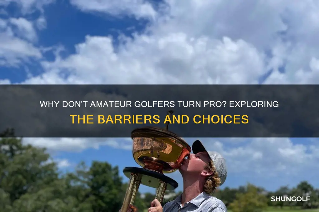 who dont amateur golf players go pro