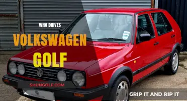 Exploring the Demographics: Who Drives the Volkswagen Golf?