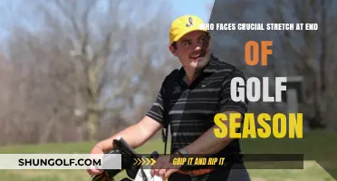 Golf's Final Stretch: Key Players Facing Crucial Season-Ending Challenges