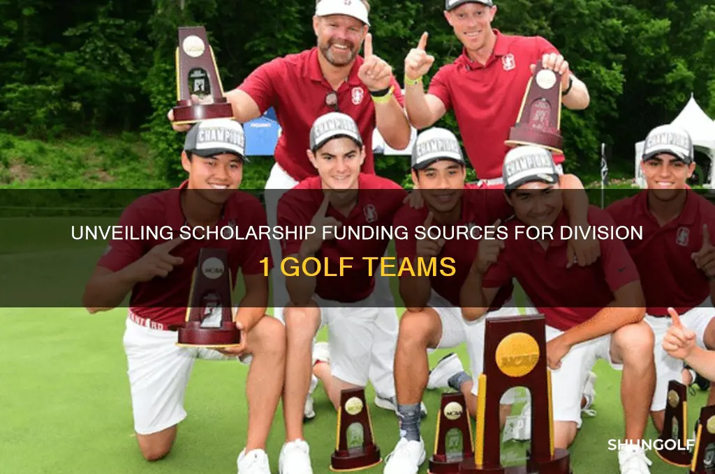 who funds the scholarships in div 1 golf teams