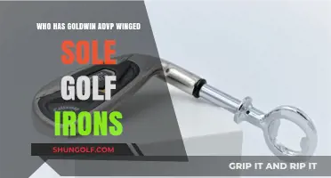 Who Owns the Goldwin ADVP Winged Sole Golf Irons?
