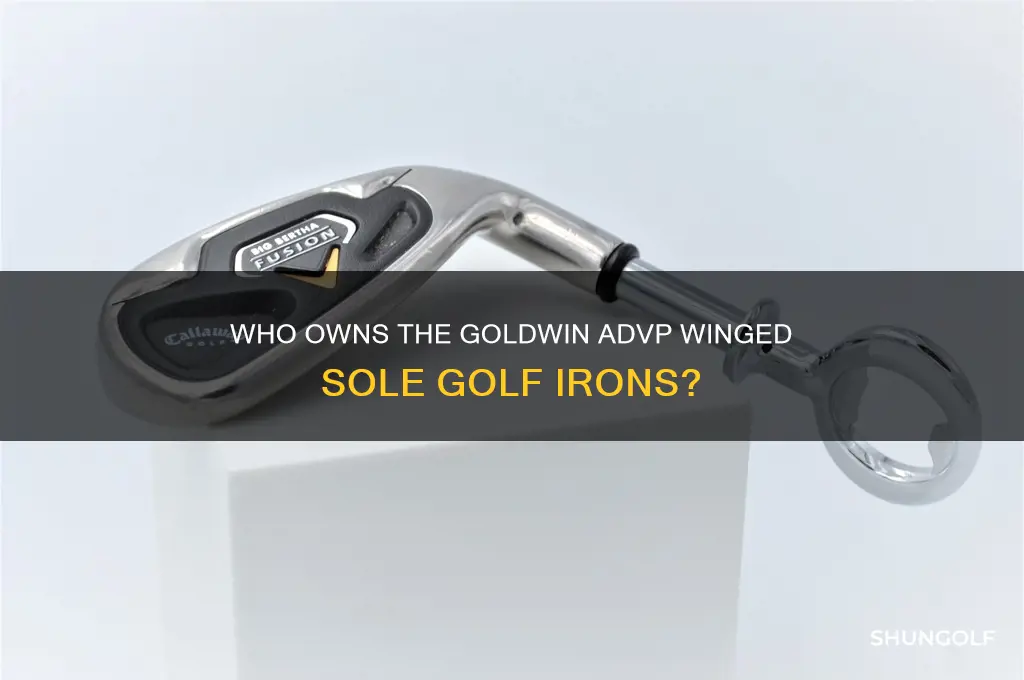 who has goldwin advp winged sole golf irons
