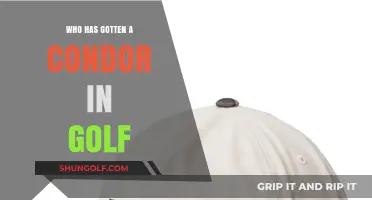 Golf's Rarest Feat: Who Has Achieved a Condor on the Course?