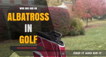 Rare Albatross Achievers: Golfers Who Scored Three Under Par