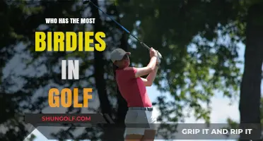 Golf's Birdie King: Who Holds the Record for Most Birdies?