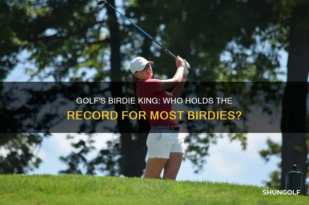 who has the most birdies in golf